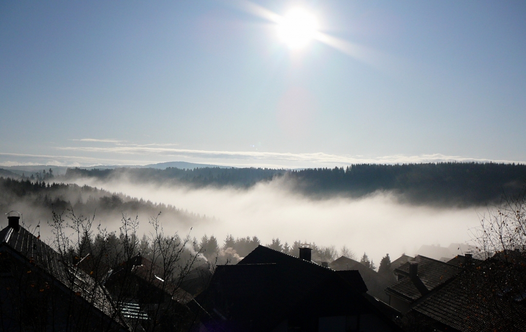 Blick auf die Nordhelle 663 m ü.N. Ebbegebirge